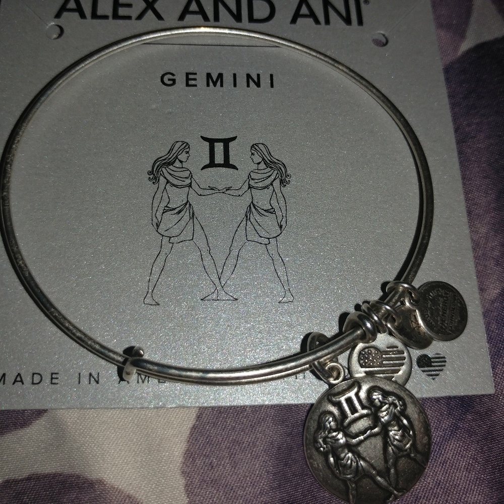 Alex and Ani Gemini bangle